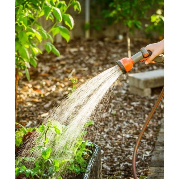 A Beginner's Guide to Starting Your Home Garden from Scratch