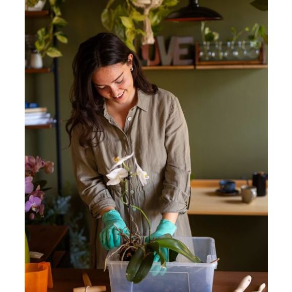 Urban Gardening: How to Create Your Own Balcony Garden