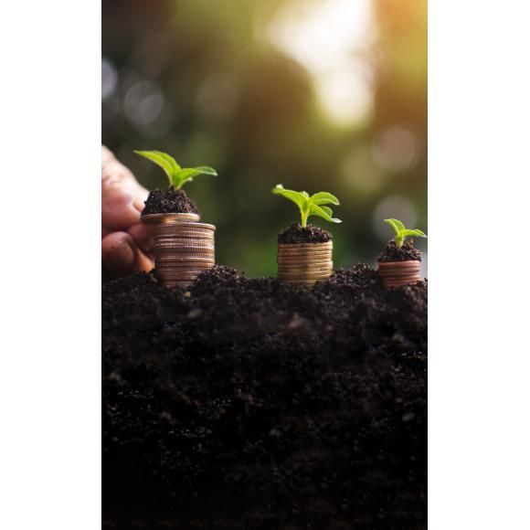 Finanzas personales, detalles que hacen la diferencia