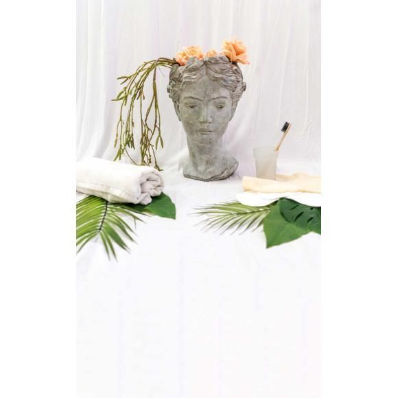 La historia del baño