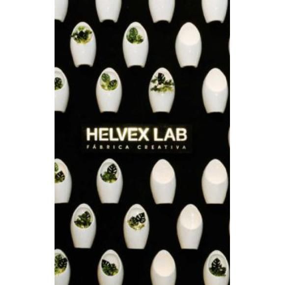 Encuentro Helvex + Helvex Lab:
