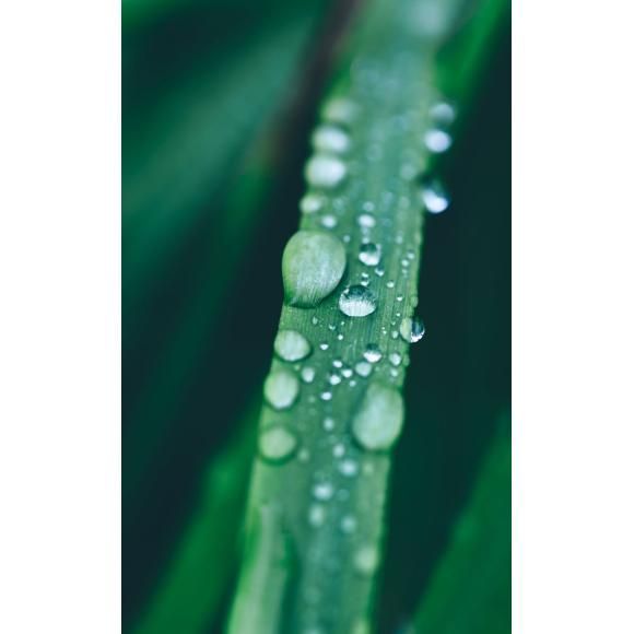 Edificación sustentable