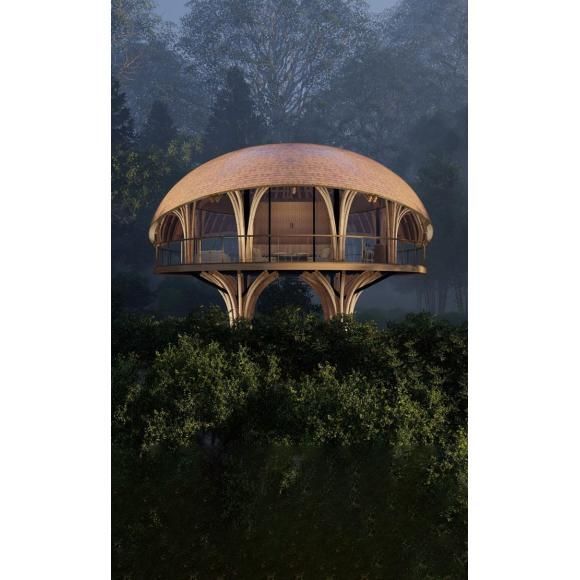 Lunah, a dream come true