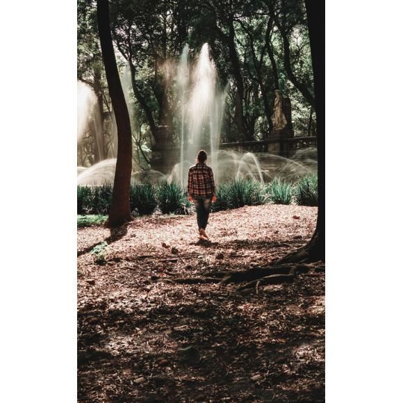 Restoration of the Chapultepec Forest, the city's lung