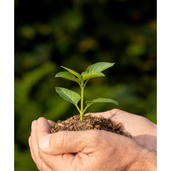 Desempeño Ambiental