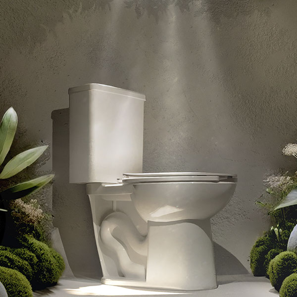 WC Sustenta de Helvex con descarga de 2.5 litros 